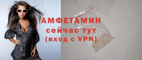 прущие грибы Каменка