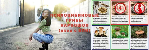 ПСИЛОЦИБИНОВЫЕ ГРИБЫ Каменск-Шахтинский