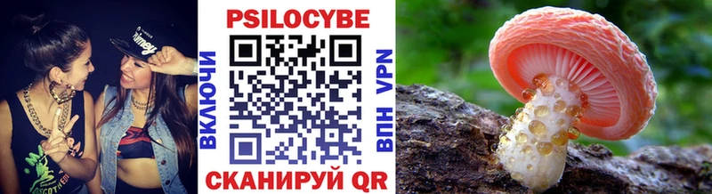 купить Кукмор мега зеркало Галлюциногенные грибы мухоморы